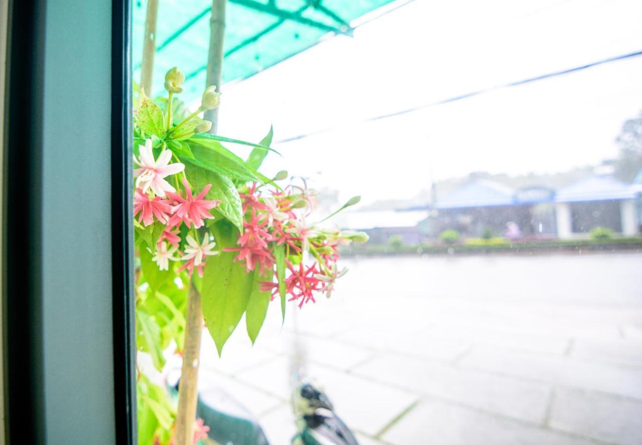 Wanderlust Homestay Phu Quoc Eksteriør bilde
